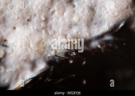 Micro immagine di un bianco e nero inchiostro stampato su tessuto nero. Foto Stock