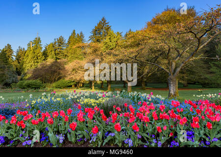 Fiore di primavera letti, Stanley Park, Vancouver, British Columbia, Canada. Foto Stock