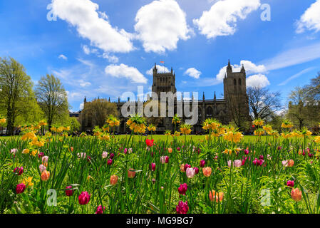 Fioritura primaverile di fronte alla Cattedrale di Bristol. Fiori in primo piano ela cattedrale nel retro di massa. Blu cielo con soffici nuvole bianche. Foto Stock