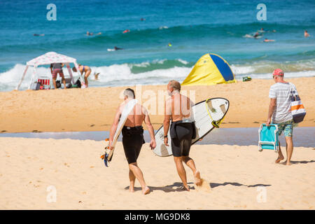 Persone di mezza età australian gli uomini che trasportano le loro tavole da surf sul Nord Curl Curl Beach a Sydney, Australia Foto Stock