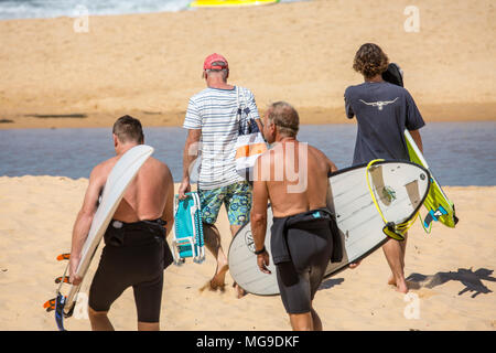 Persone di mezza età australian gli uomini che trasportano le loro tavole da surf sul Nord Curl Curl Beach a Sydney, Australia Foto Stock
