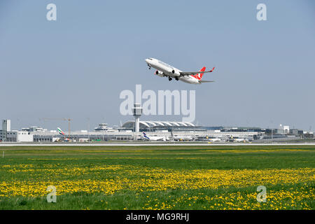 La Turkish Airlines, B 737, B737-800: 800, aeromobili, aereo, piano, panoramica, vista Panorama, fiore, alghe, erba, Start, di prendere, Aeroporto di Monaco di Baviera, Foto Stock