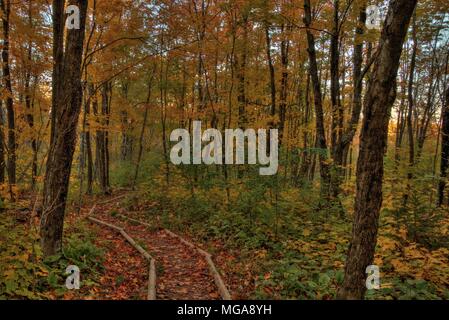 Autunno a Carlton picco delle montagne a dente di sega nel nord del Minnesota sulla sponda nord del Lago Superior Foto Stock