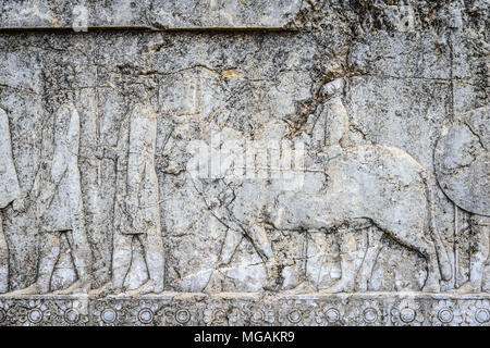 Rilievo delle nazioni portare omaggio, la scala di Apadana. Persepolis, il cerimoniale di capitale dell'Impero achemenide. Patrimonio Mondiale UNESCO Foto Stock