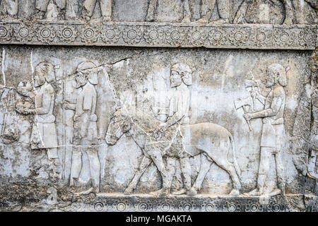 Rilievo delle nazioni portare omaggio, la scala di Apadana. Persepolis, il cerimoniale di capitale dell'Impero achemenide. Patrimonio Mondiale UNESCO Foto Stock