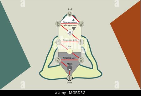 L'albero della vita e dell'uomo nella posizione del loto, la Ultimate pongono per lunghi periodi di meditazione seduti Illustrazione Vettoriale