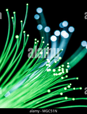 Bundle di fibre ottiche con luce verde. Sfondo nero. Foto Stock