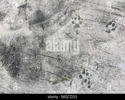 Superficie di cemento grunge texture con cane piedi stampe Foto Stock