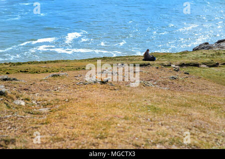 Porth, Cornwall, Regno Unito - 7 Aprile 2018: Lone donna seduta al sole su un promontorio erboso o in cima alla scogliera, con il blu del mare o oceano in background Foto Stock