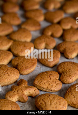 Polacco biscotti di Natale Foto Stock