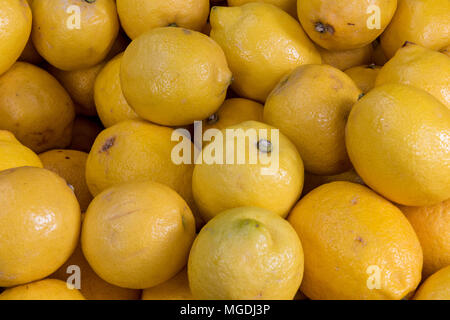 Appena raccolto di limoni o di agrumi sul display su un mercato gli operatori greengrocery stallo a Borough Market. La frutta e la verdura fresca greengroceries Foto Stock