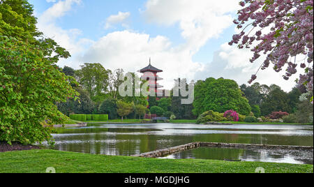 Bruxelles, Belgio, 26 aprile 2018: Le Serre Reali di Laeken. Un vasto complesso monumentale di serre riscaldate nel parco del Palazzo Reale di Foto Stock