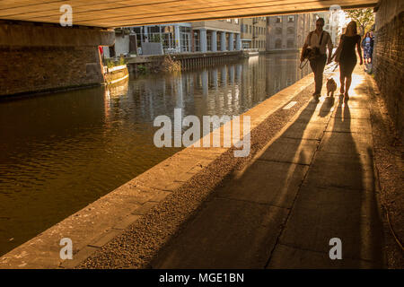 Un giovane a piedi il loro cane lungo la strada alzaia del Regents Canal come il sole tramonta su una sera d'estate Foto Stock