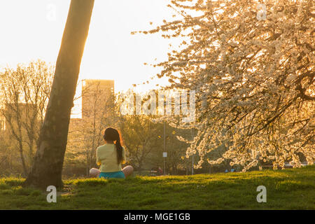 Una ragazza medita sotto la fioritura dei ciliegi in un parco nella zona nord di Londra Foto Stock