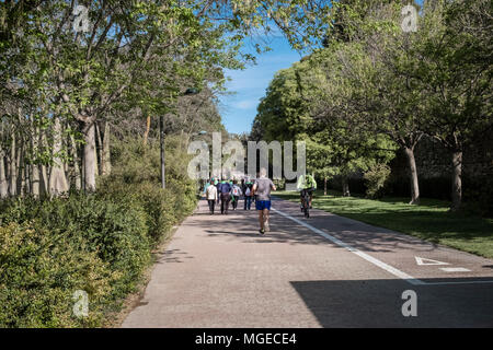 Dai giardini di Turia (Jardines del Turia), un 9km ex alveo fluviale che corre attraverso il centro della città convertita in un giardino pubblico, Valencia, Spagna Foto Stock