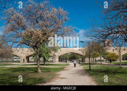 Dai giardini di Turia (Jardines del Turia), un 9km ex alveo fluviale che corre attraverso il centro della città convertita in un giardino pubblico, Valencia, Spagna Foto Stock