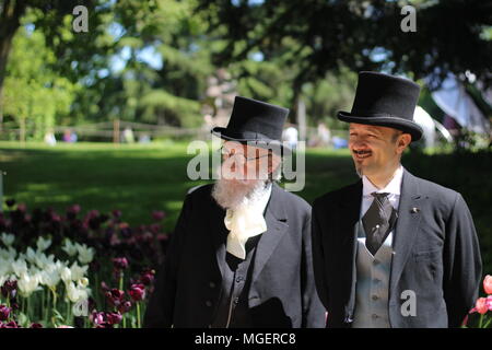 Una coppia di colleghi, signori, un uomo anziano e una giovane osservare qualcosa in un campo di tulipani Foto Stock