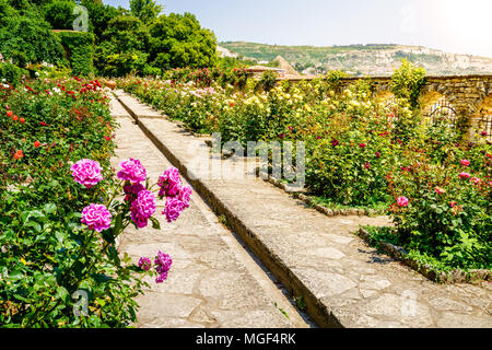 Rose in fiore nel giardino botanico di Balchik, Bulgaria Foto Stock