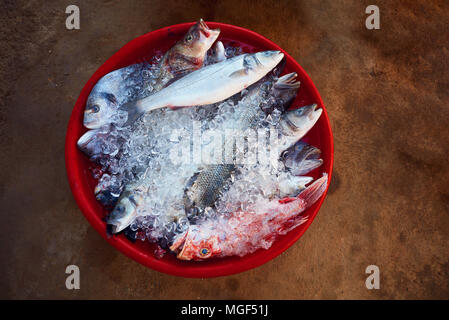 Vista dall'alto in basso di fresco giornaliero di pesce di mare su ghiaccio in un bacino di rosso su una massa di suolo Foto Stock