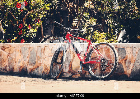 Un vecchio rosso mountain bike su un marciapiede addossate al muro di pietra di un giardino Foto Stock