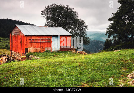 Abbandonato il vecchio cottage di rosso e di albero in highland di Ordu, Turchia Foto Stock