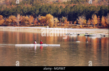 Due uomini canottaggio sul lago Eymir ad Ankara, Turchia sotto il sole autunnale. Ci sono il nuoto anatre e barche sul lago. Foto Stock