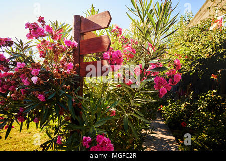 Cartello in legno surruonded con fiori colorati in un giardino su una soleggiata giornata estiva Foto Stock