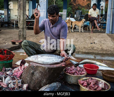 Mirissa, Sri Lanka. Il 27 febbraio, 2018. Martedì, 27 febbraio 2018.Ceylon porti di pesca Corporation, porto di pesca, Mirissa, Sri Lanka.SUJI, 43 anni, è stato un pesce di trinciatore per 22 anni, e ha sostenuto la sua moglie e tre bambini con il suo reddito. Suji guadagna 100 rupie (LKR) per ogni pesce egli costolette, circa $0.63. Mirissa è un piccolo, popolare cittadina turistica situata sulla costa meridionale dello Sri Lanka, a circa 100 chilometri a sud della capitale commerciale e il paese più grande città di Colombo. È il più grande porto di pesca della costa sud ed è noto per il suo tonno, triglie, snap Foto Stock