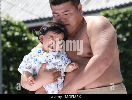 Tokyo, Giappone. 28 apr, 2018. Un bambino tenuto da un dilettante lottatore di sumo grida durante il 'baby-cry sumo' concorrenza presso il tempio di Sensoji di Tokyo il Sabato, 28 aprile 2018. Giapponese i genitori credono che lottatori di sumo possono contribuire a rendere i bambini gridano il desiderio di crescere con un buono stato di salute. Credito: Yoshio Tsunoda/AFLO/Alamy Live News Foto Stock