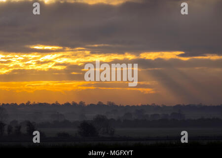 Un freddo e nebbioso per iniziare la giornata al sorgere del sole sopra la pianura del Cheshire verso Chester, Cheshire Foto Stock