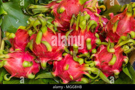 Rosso brillante e green dragon frutto per la vendita nel mercato vietnamita Foto Stock