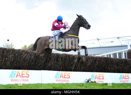 Guerriero ferito cavalcato da Sean Flanagan jumping prima di andare a vincere l'Handicap BoyleSports siepi durante il giorno cinque del Festival di Punchestown 2018 a Punchestown Racecourse, nella contea di Kildare. Foto Stock