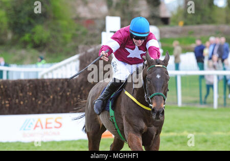 Guerriero ferito cavalcato da Sean Flanagan vincere il Boylesports Handicap Chase durante il giorno cinque del Festival di Punchestown 2018 a Punchestown Racecourse, nella contea di Kildare. Foto Stock