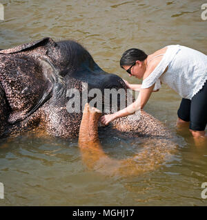 Vista sulla piazza di un elefante avente un bagno a Pinnawala l'Orfanotrofio degli Elefanti in Sri Lanka. Foto Stock