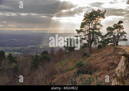 Un stark isolato di pino silvestre set struttura contro luminosi raggi di sole lo scoppio attraverso la pesante e cielo scuro sul lato di una collina boscosa sommità, Leith Hill, S Foto Stock