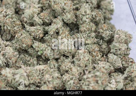 Guarigione ceppi medico della cannabis marijuana close-up Foto Stock