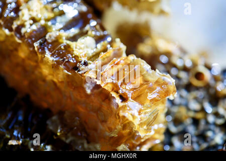 Primo piano immagine macro di organico fresco miele naturale colava da un nido d'oro Foto Stock