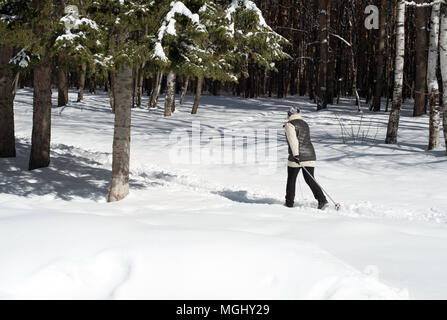 UFA, Russia 29marzo 2018 - Anziani donna che indossa gli sport invernali abbigliamento sci di fondo attraverso una pista forestale in nevicata utilizzando l'inverno sp Foto Stock