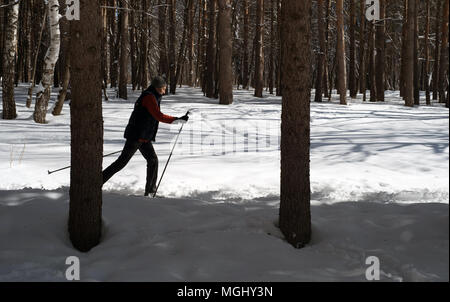 UFA, Russia 29marzo 2018 - uomo anziano cross country attraverso una pista forestale in nevicata utilizzando l'inverno sport per migliorare la sua salute mentre enjoyin Foto Stock