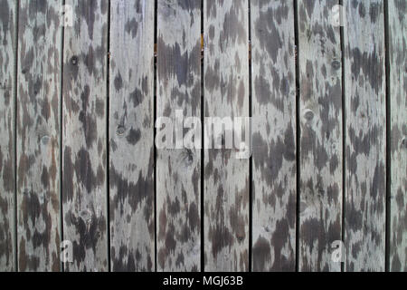 Grigio vecchio tavolato in legno recinzione Foto Stock