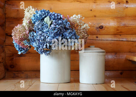 Due vasi di bianco del blu e del bianco fiori deposito su un pavimento di legno in un log cabin. Foto Stock