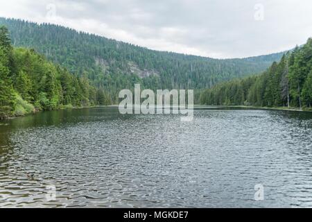 Grande Lago Arber, Bavaria - Germania Foto Stock