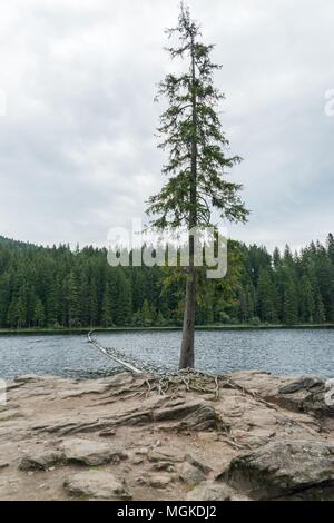 Grande Lago Arber, Bavaria - Germania Foto Stock