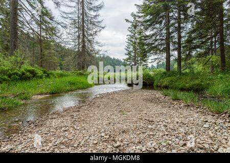 Grande Lago Arber, Bavaria - Germania Foto Stock