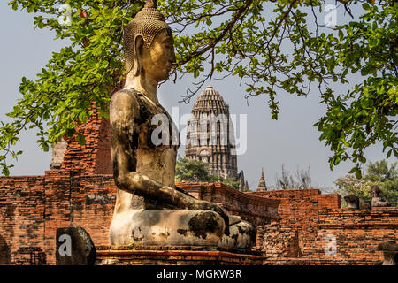 Il Buddha tra i resti dell'antica capitale del regno estinto di Siam City di Ayutthaya Thailandia Foto Stock