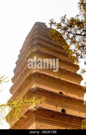 Piccola (Po) Pagoda dell'Oca Selvaggia, XIan, Shaanxi, Cina. Uno dei più popolari destinazioni turistiche in XIan Foto Stock