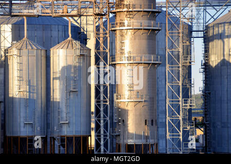 Impianto di essiccazione e stoccaggio di cereali Foto Stock