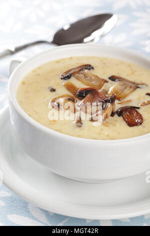 Minestra di crema di funghi in ciotola bianco Foto Stock