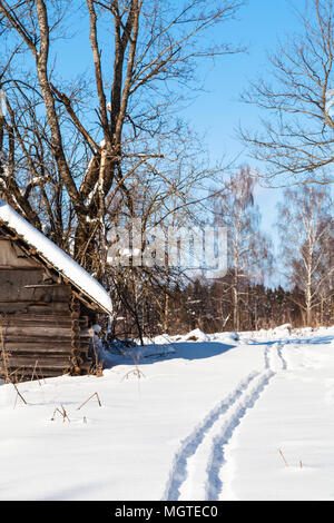 Pista da sci di foresta nel piccolo villaggio russo nella soleggiata giornata invernale di Smolensk Regione della Russia Foto Stock