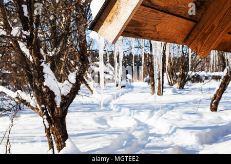 Ghiaccioli dalla fusione della neve sul bordo del tetto del cottage di legno nella soleggiata giornata invernale nel villaggio di Smolensk Regione della Russia Foto Stock